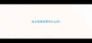 哈士奇鼻感冒吃什么药