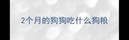 2个月的狗狗吃什么狗粮