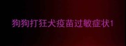 狗狗打狂犬疫苗过敏症状
