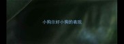 小狗示好小狗的表现