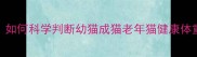 布偶猫体重标准全如何科学判断幼猫成猫老年猫健康体重附营养管理指南