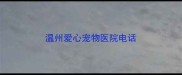 温州爱心宠物医院电话