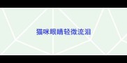 猫咪眼睛轻微流泪