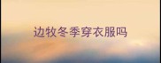 边牧冬季穿衣服吗