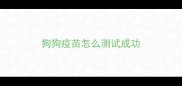 狗狗疫苗怎么测试成功
