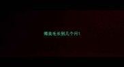 博美毛长到几个月