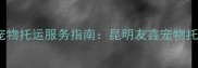 昆明专业宠物托运服务指南昆明友鑫宠物托运公司全