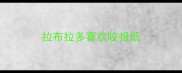 拉布拉多喜欢咬报纸