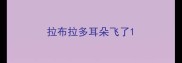 拉布拉多耳朵飞了