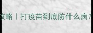 狗狗必看疫苗全攻略打疫苗到底防什么病新手养狗人必存
