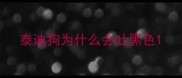 泰迪狗为什么会吐黑色