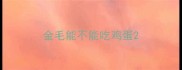 金毛能不能吃鸡蛋