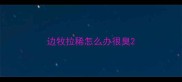 边牧拉稀怎么办很臭