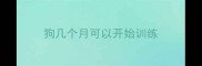 狗几个月可以开始训练