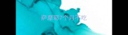 萨摩耶7个月不吃