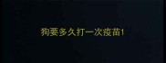 狗要多久打一次疫苗