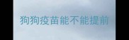 狗狗疫苗能不能提前