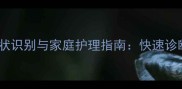 猫咪腹积水症状识别与家庭护理指南快速诊断与应对措施