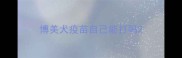 博美犬疫苗自己能打吗
