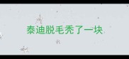 泰迪脱毛秃了一块