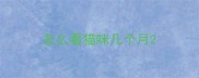 怎么看猫咪几个月