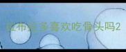 拉布拉多喜欢吃骨头吗