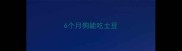 6个月狗能吃土豆