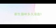 新生猫咪多久溶血