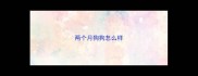 两个月狗狗怎么样