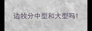 边牧分中型和大型吗