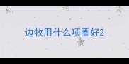 边牧用什么项圈好