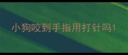 小狗咬到手指用打针吗