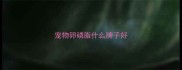 宠物卵磷脂什么牌子好