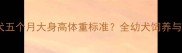 边境牧羊犬五个月大身高体重标准全幼犬饲养与健康指南