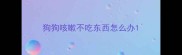 狗狗咳嗽不吃东西怎么办
