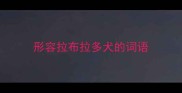 形容拉布拉多犬的词语