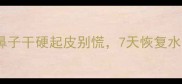 紧急处理狗狗鼻子干硬起皮别慌7天恢复水润亮泽护理指南