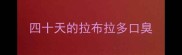 四十天的拉布拉多口臭