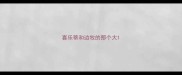 喜乐蒂和边牧的那个大