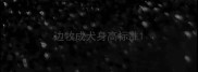 边牧成犬身高标准