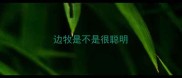 边牧是不是很聪明