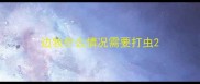 边牧什么情况需要打虫