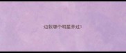 边牧哪个明星养过