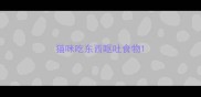 猫咪吃东西呕吐食物