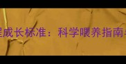 拉布拉多犬全流程成长标准科学喂养指南与健康发育全攻略