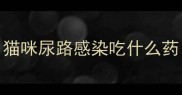 猫咪尿路感染吃什么药