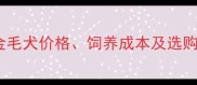 全金毛犬价格饲养成本及选购指南
