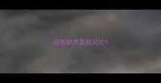 边牧幼犬又拉又吐