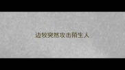 边牧突然攻击陌生人