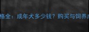 哈士奇价格全成年犬多少钱购买与饲养成本清单